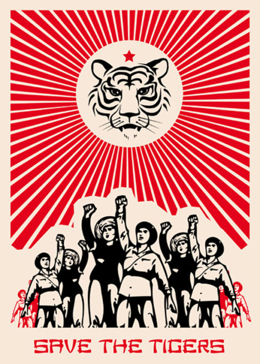 Save the tigers - Massimo Dezzani image