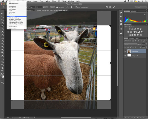 The enhanced Crop tool provides new feedback about the size and resolution of the cropped area 